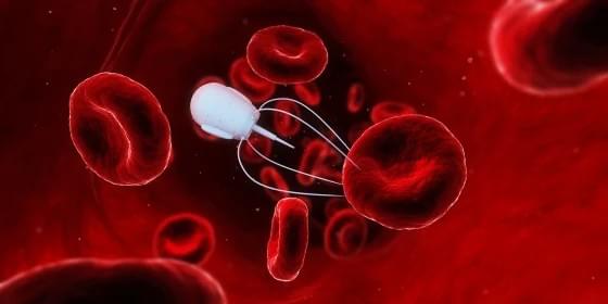 Nanorobotics: A Theranostic Approach