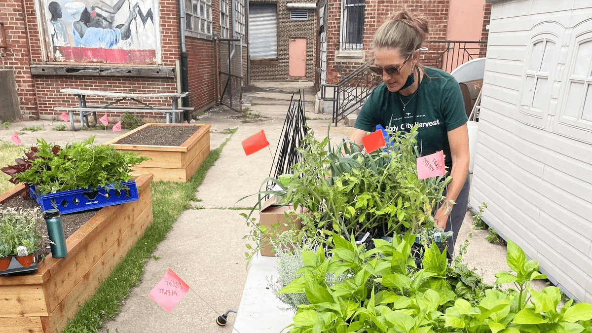 Bethel New Life, Inc.