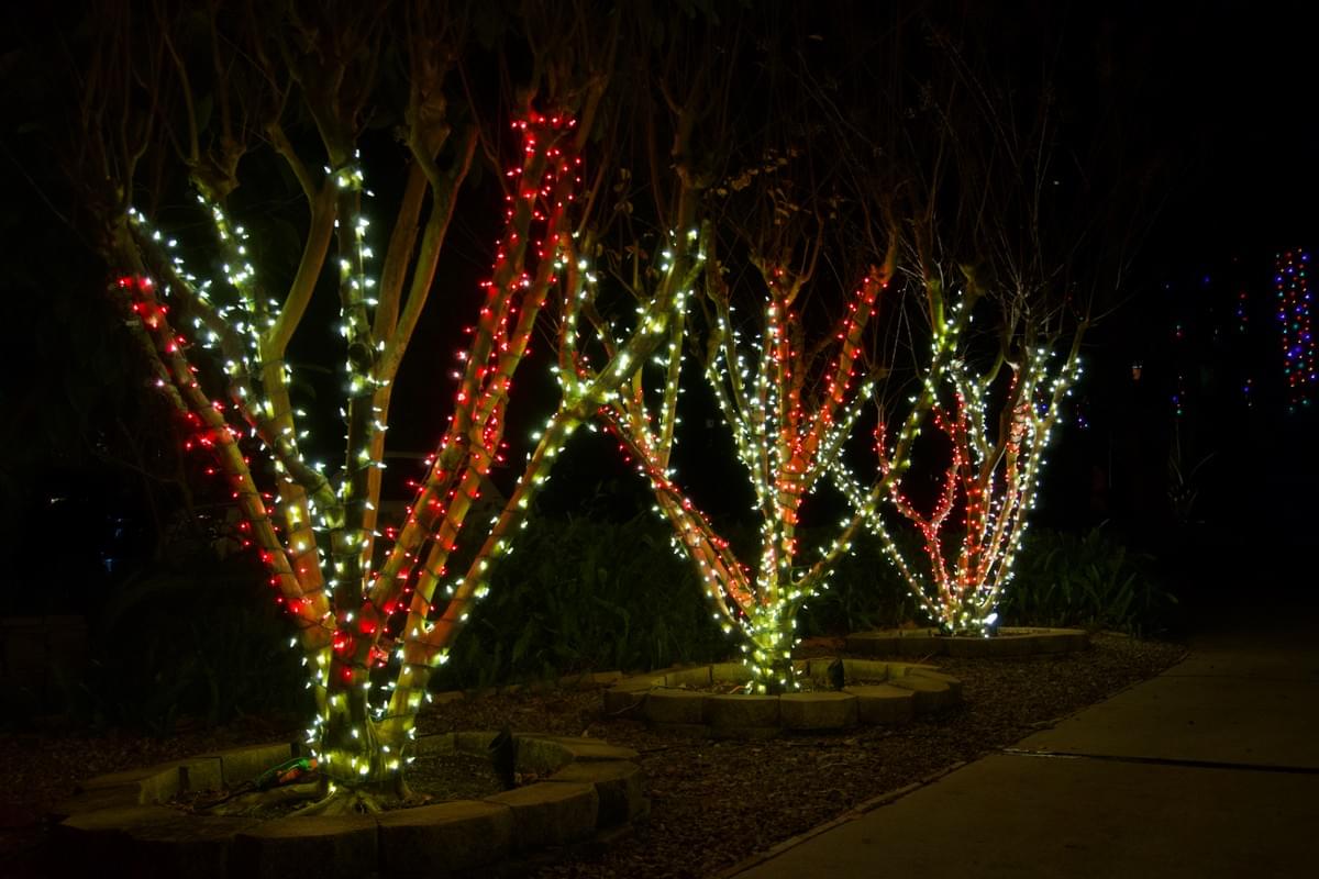 Residential Christmas lighting on a Tampa home by Holiday Decorating Tampa