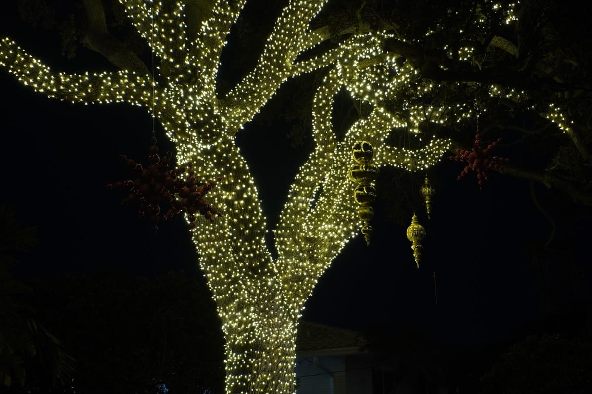 Step 5, Takedown: professional Christmas light installation in Tampa