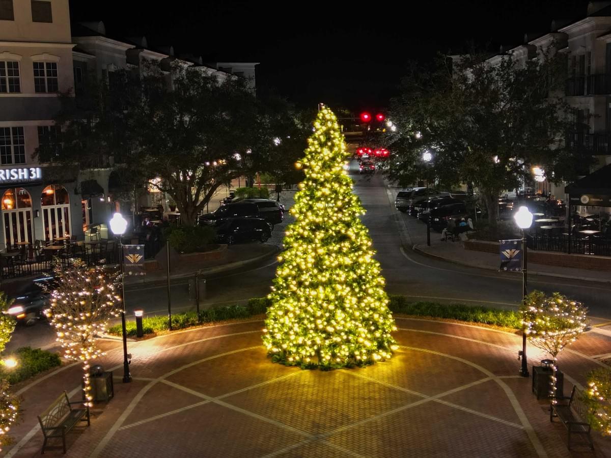 Christmas light installation project 29 in Tampa by Holiday Decorating Tampa