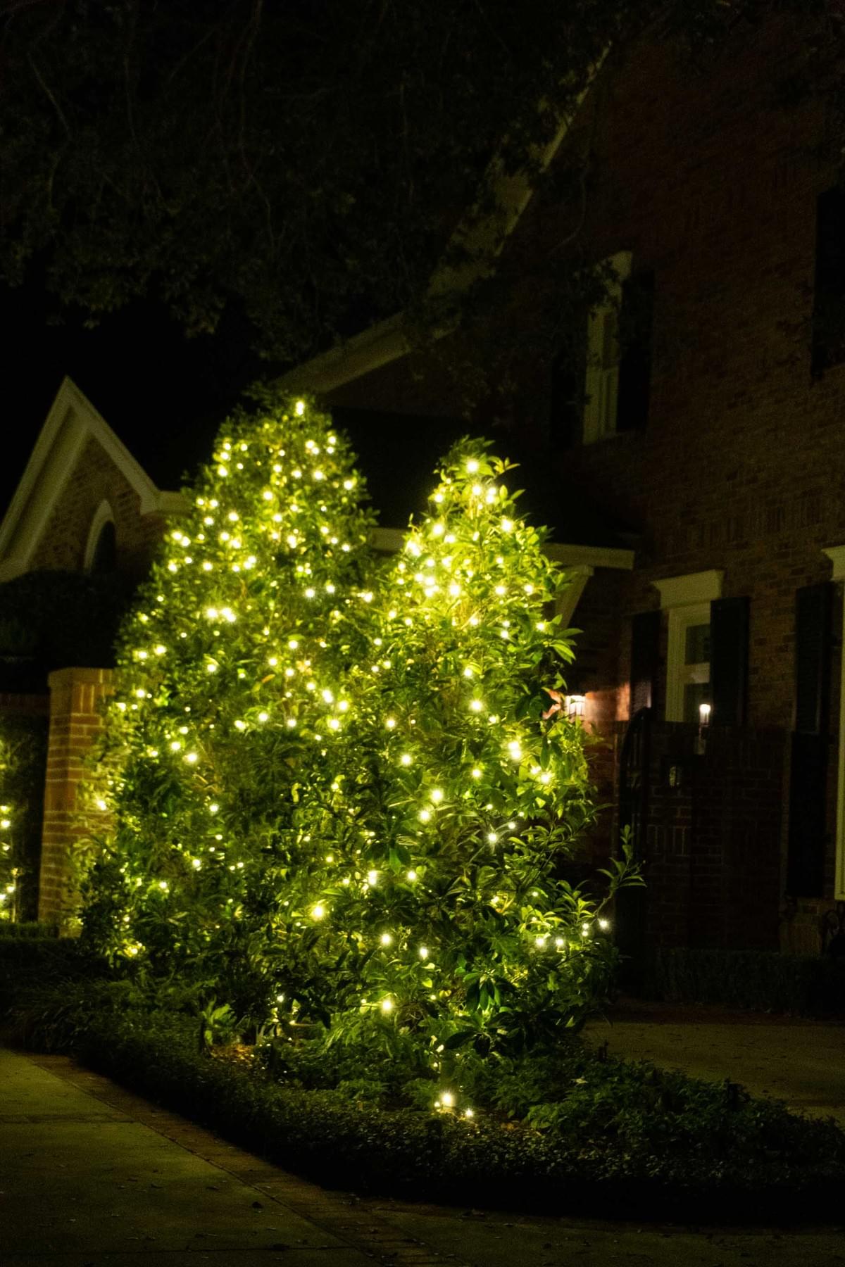 Christmas light installation project 10 in Tampa by Holiday Decorating Tampa
