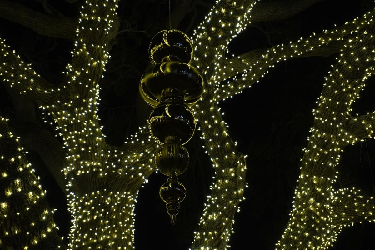 Step 3, Wow Factor: professional Christmas light installation in Tampa