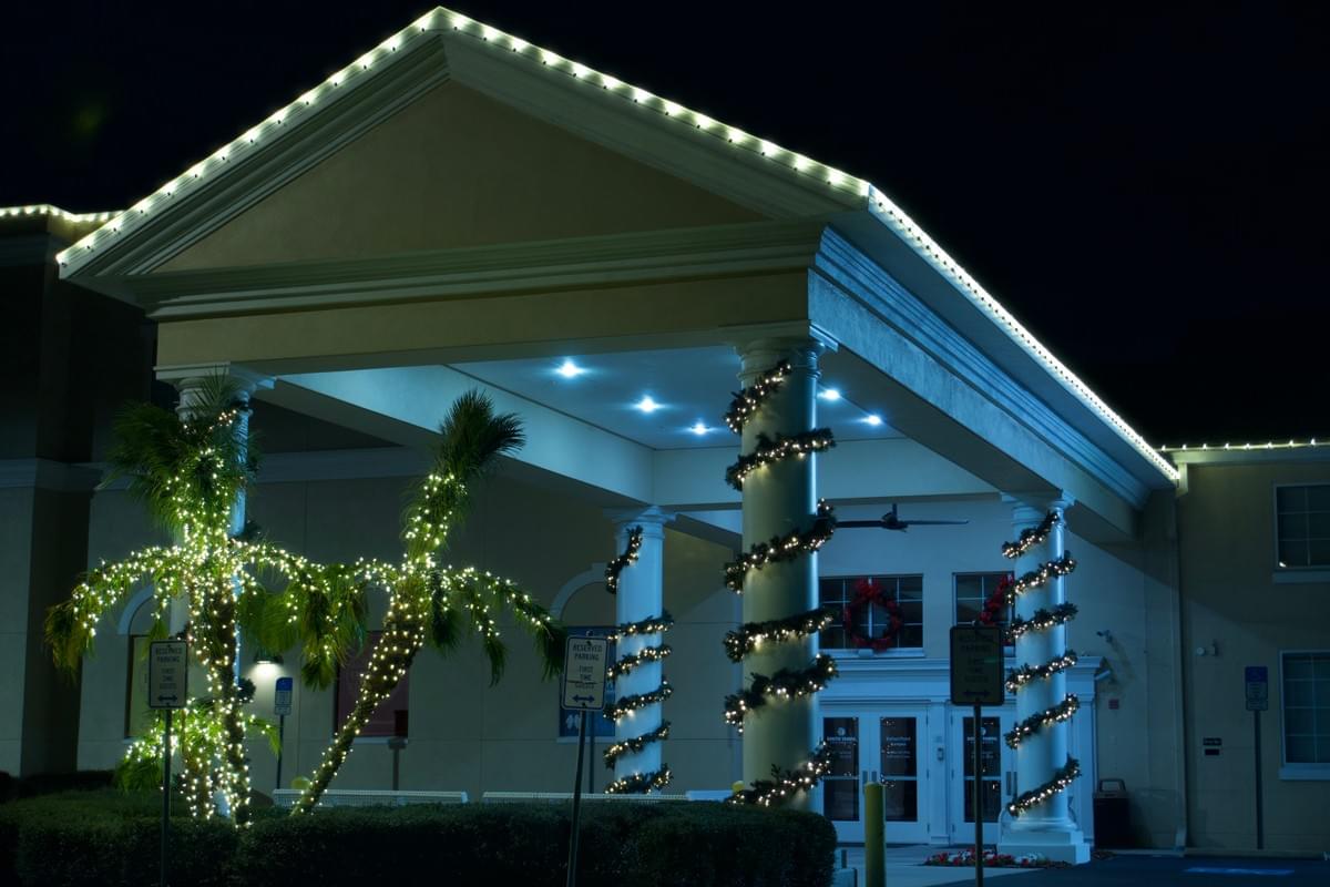Step 1, Design: professional Christmas light installation in Tampa