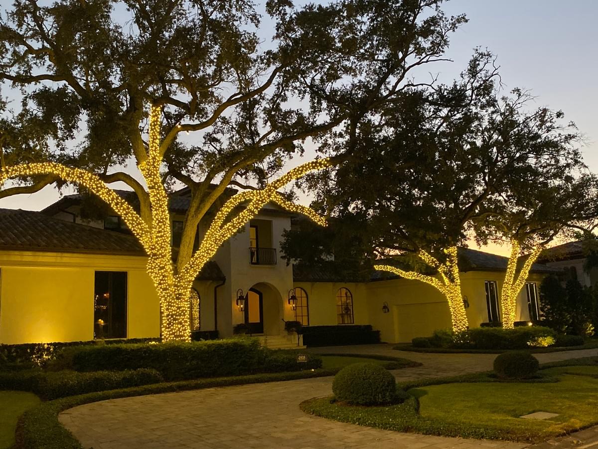 Get 200% More Points of Light, benefit of professional holiday lighting in Tampa