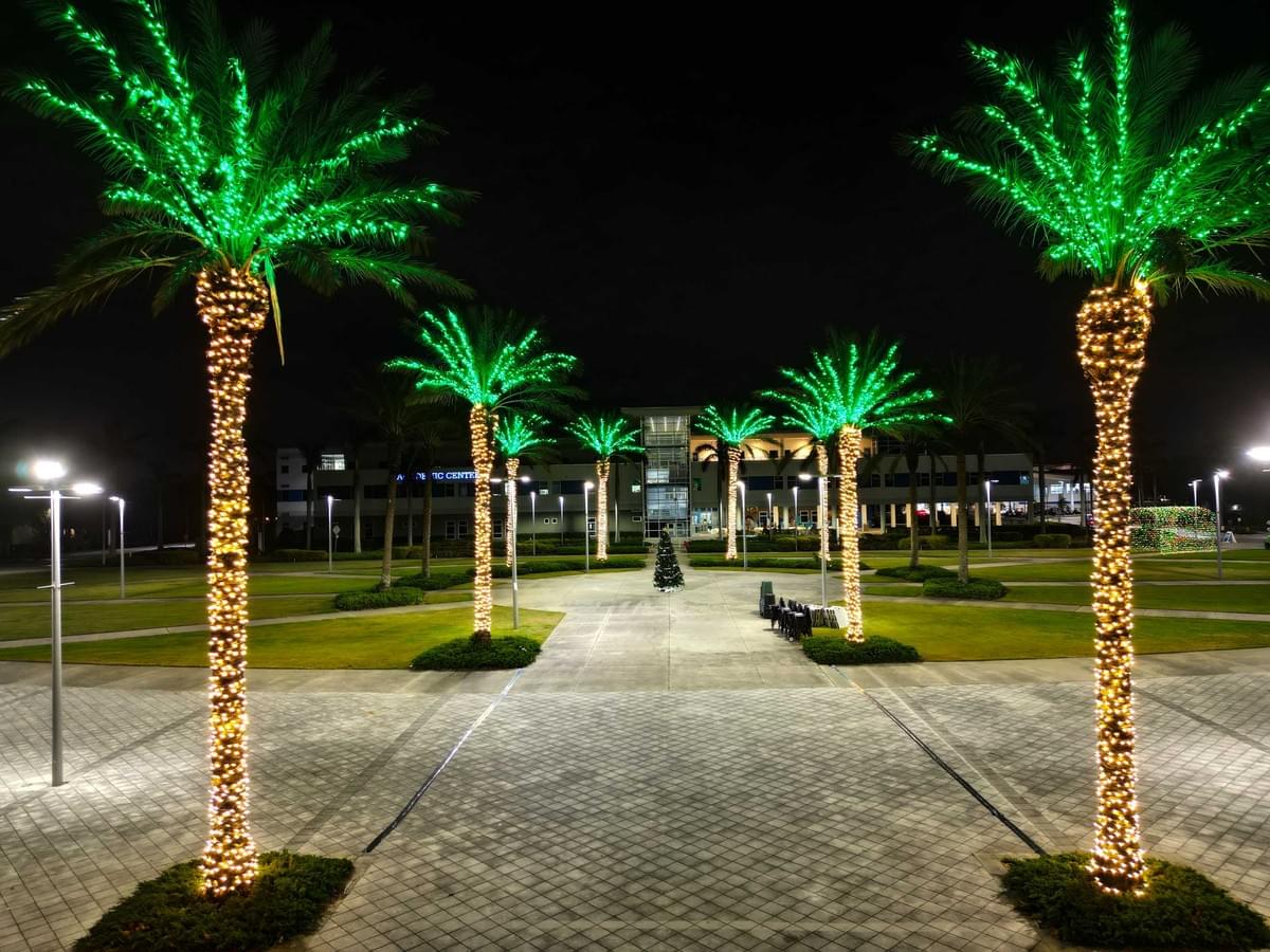 Christmas light installation project 45 in Tampa by Holiday Decorating Tampa