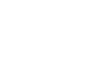 SecuAiGent