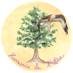 Revenir au corps pour apaiser l'esprit. Yoga-Nidra  pour tous et Sophrologie à Ornans ou en Visio.