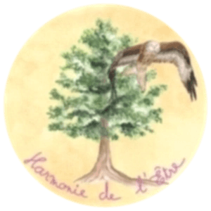 Apaisement du mental pour les personnes neuroatypiques. Yoga-Nidra et Sophrothérapie.