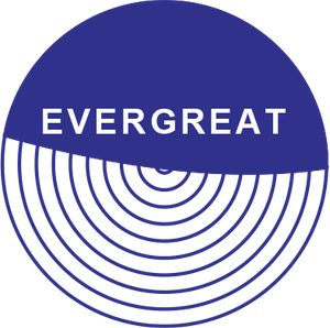 大永國際股份有限公司  Evergreat International System Co.,Ltd