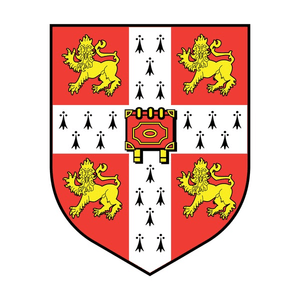 Cambridge Exam Assessment