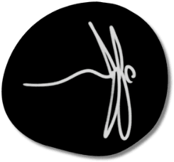 Morph, Morph logo. dragonfly is a symbol of transformation