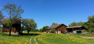 Zur Startseite