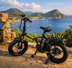 BIENVENU CHEZ BIKE LOCATION NOUS VOUS LIVRON LE/LES VELO(S)