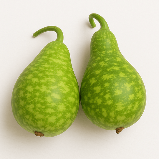 瓠瓜