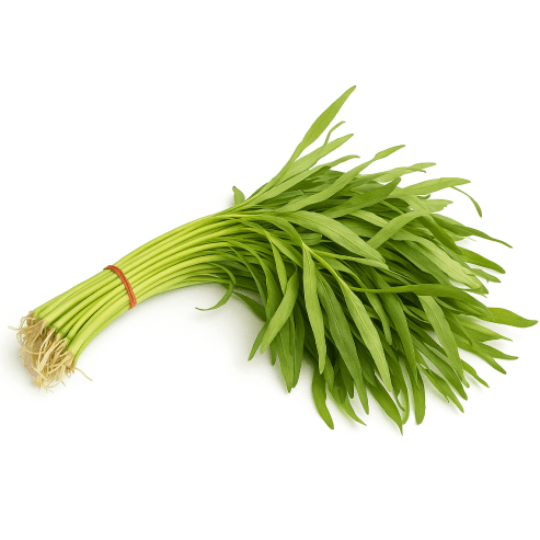 空心菜