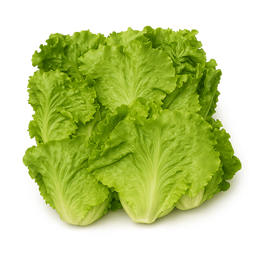 大陸妹