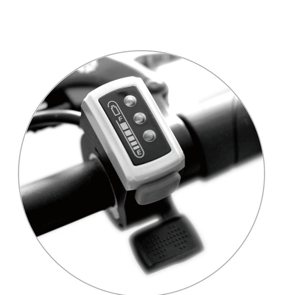 Throttle Ebike Taiwan Manufacture factory Wholesale