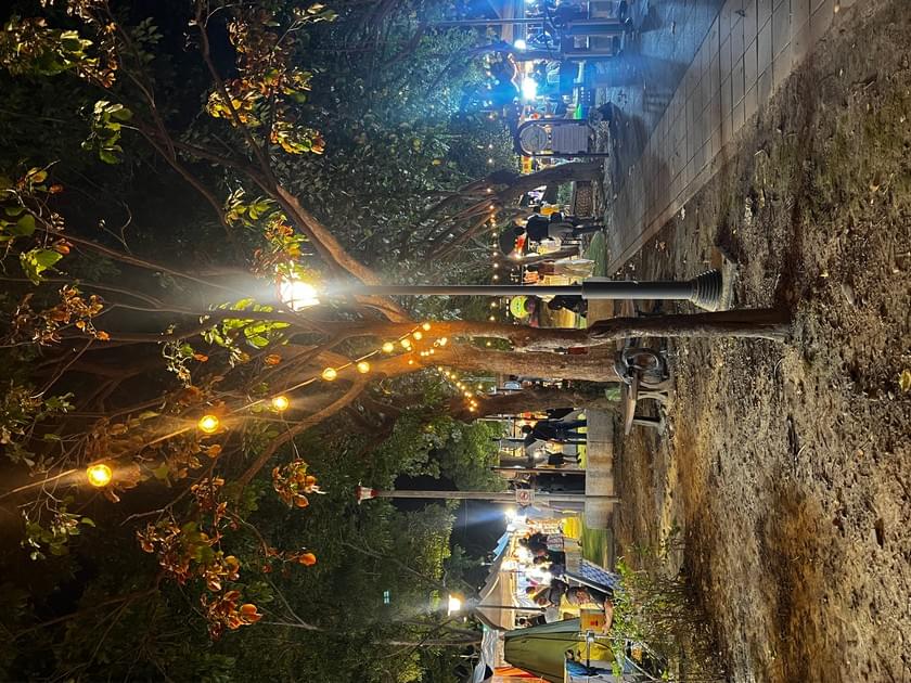 樹間燈串串起公園夜景,攤位與步道分布在綠地周邊。