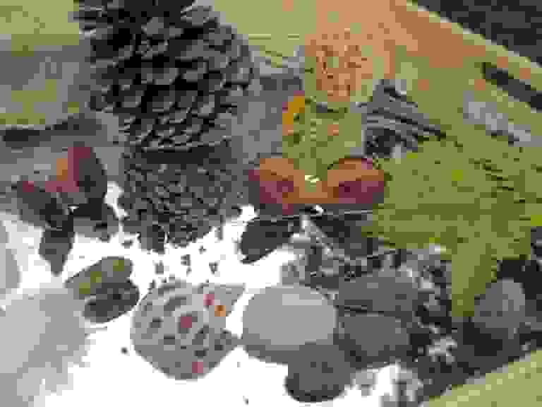 broken image