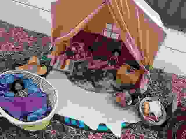 broken image