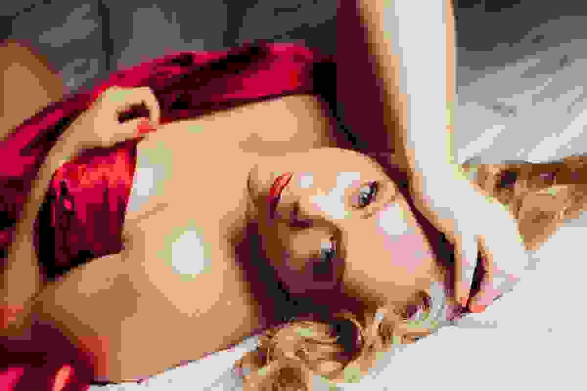 broken image