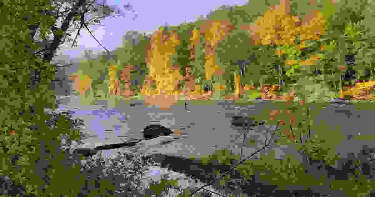 Section image