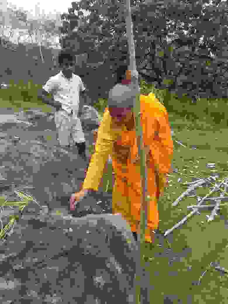 Section image