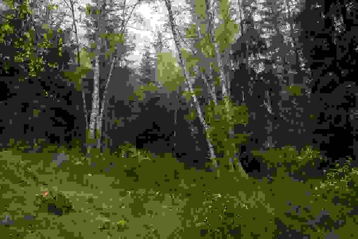 Section image