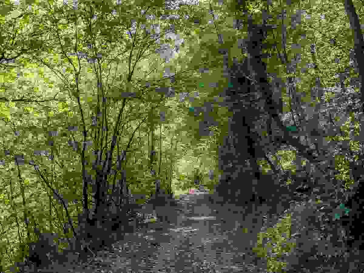 Gathering of retreaters around the table - La Lecceta Gathering of retreaters around the table - La Lecceta