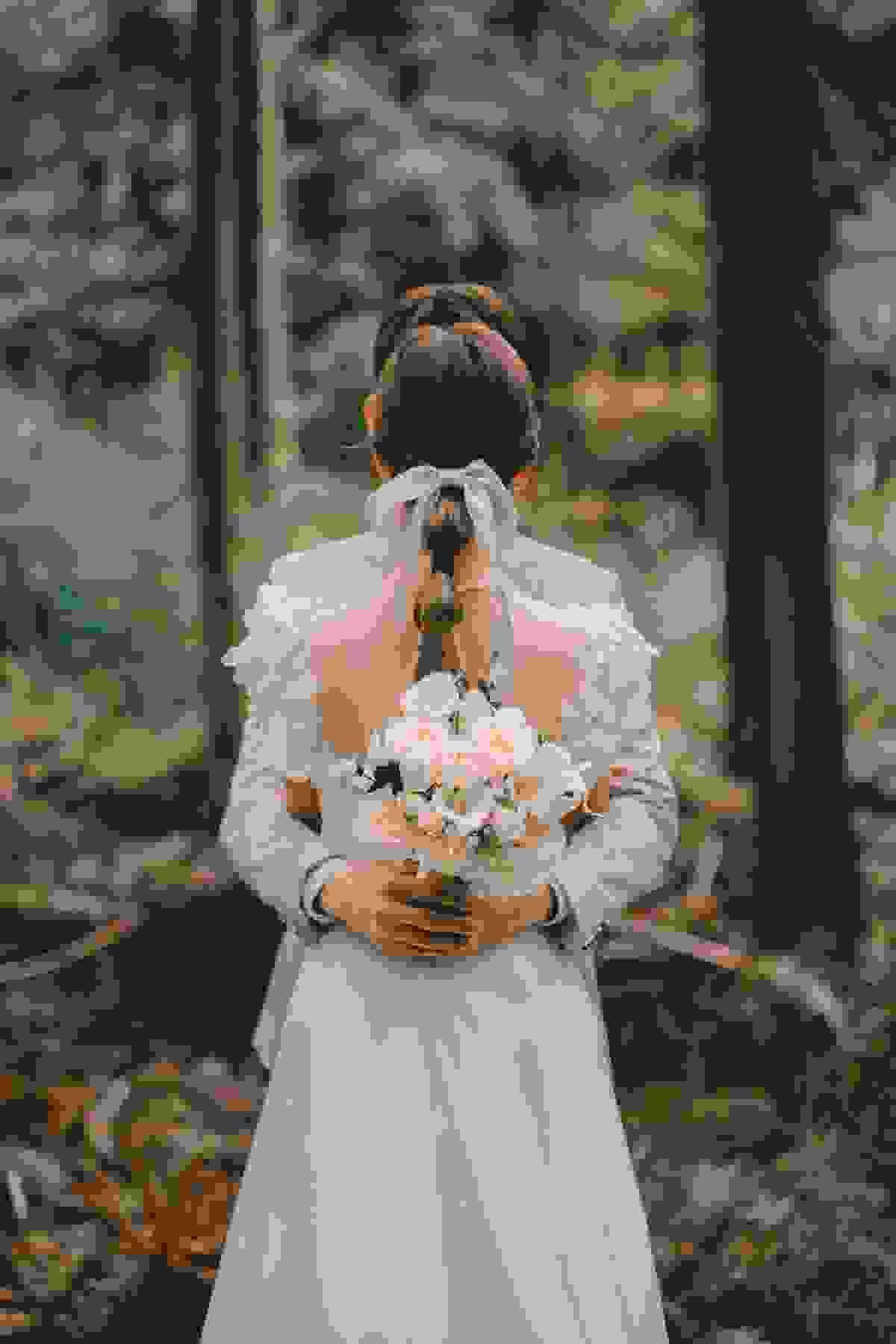 broken image