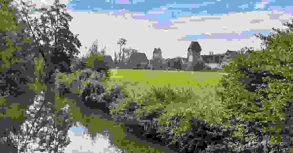 Section image