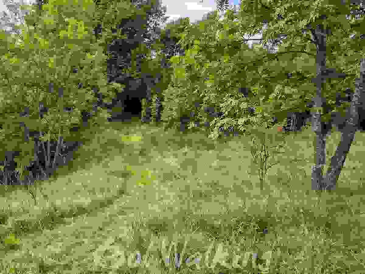 Section image