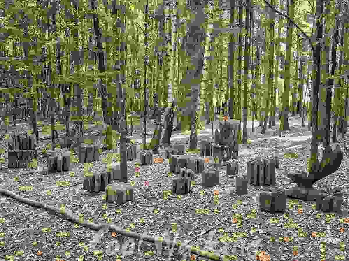 Section image