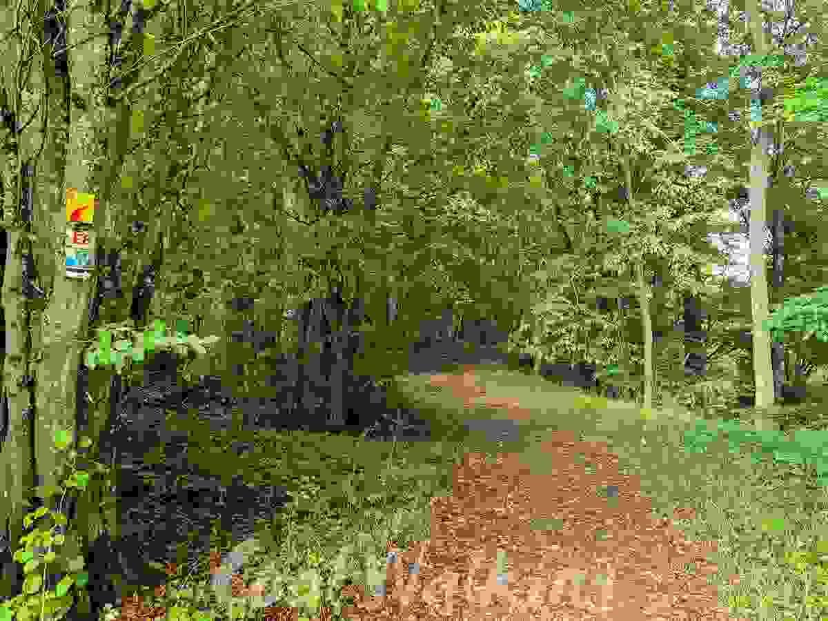 Section image