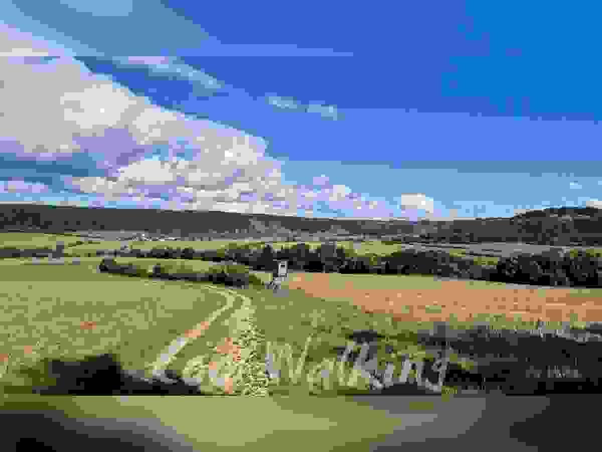 Section image