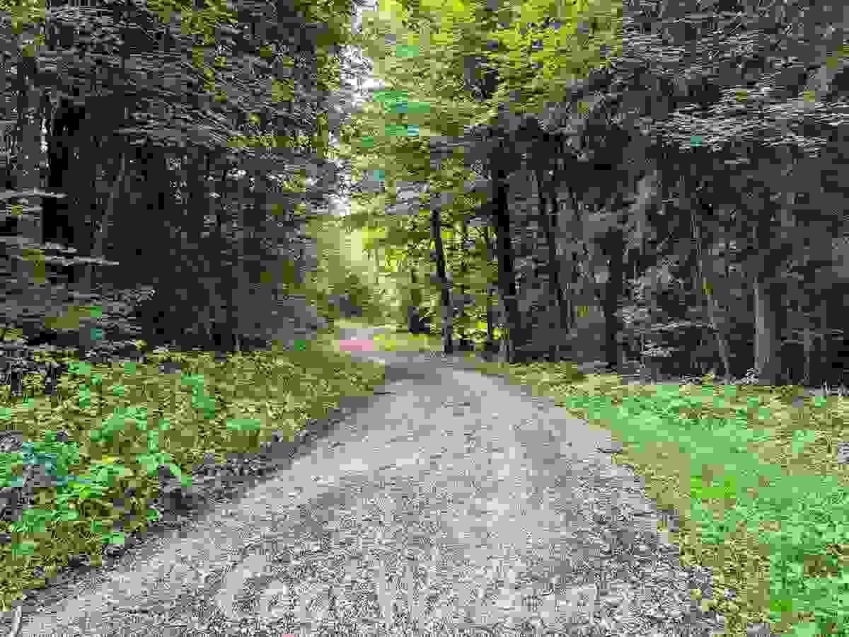 Section image