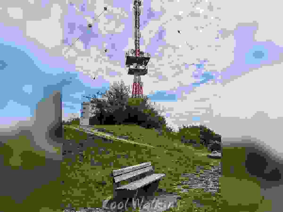 Section image