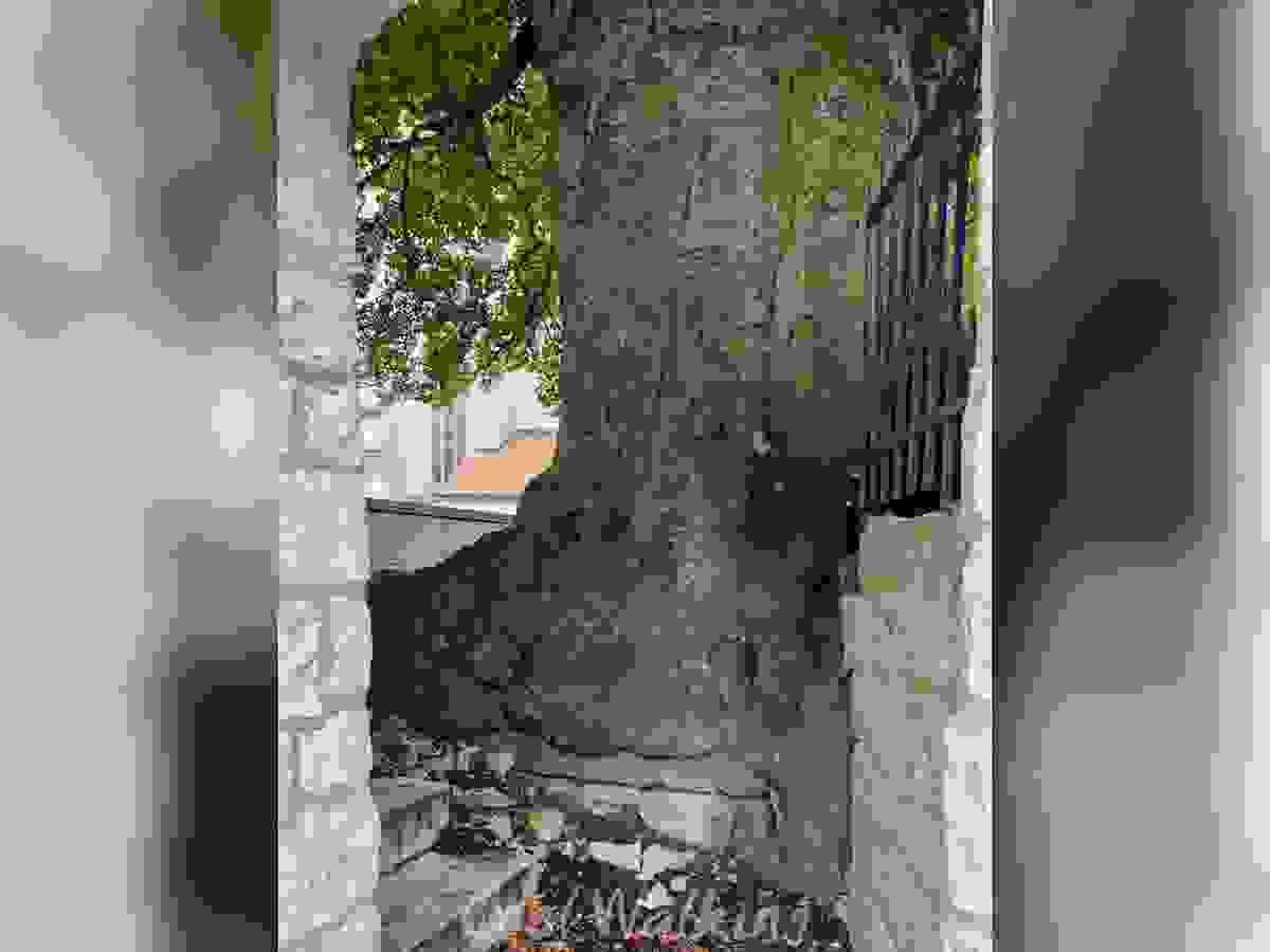 Section image