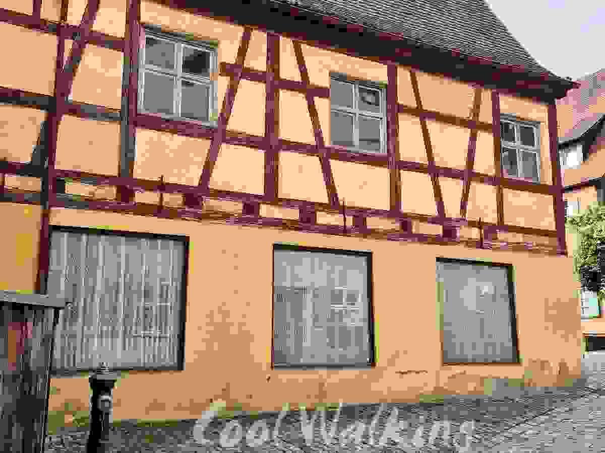 Section image