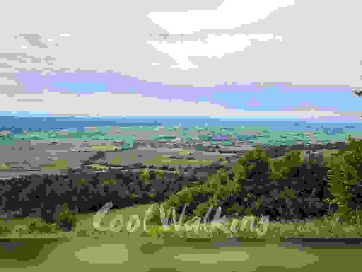 Section image