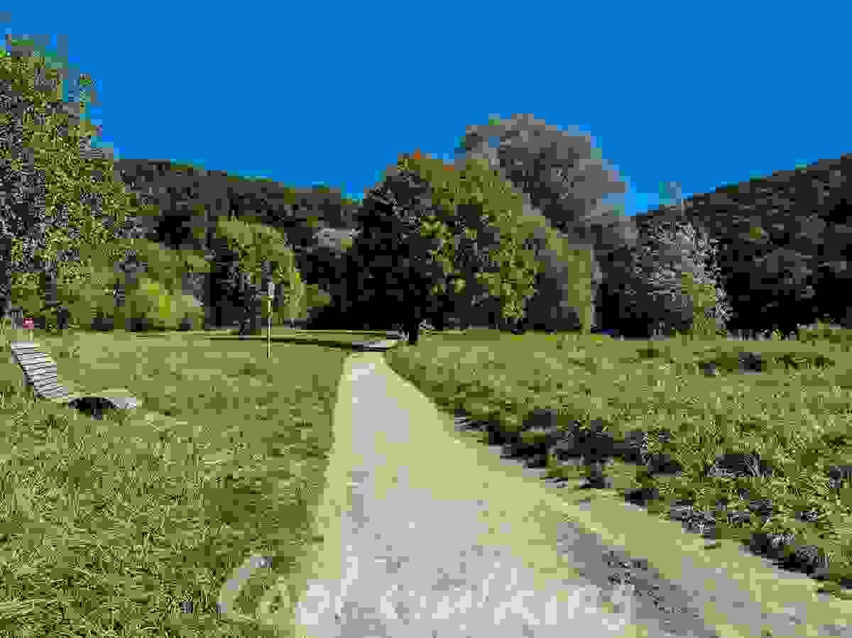 Section image
