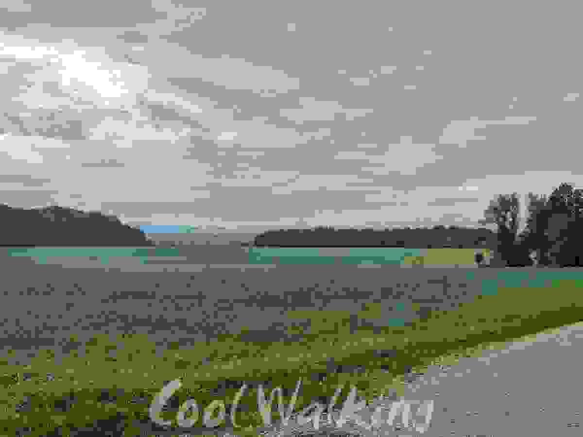 Section image
