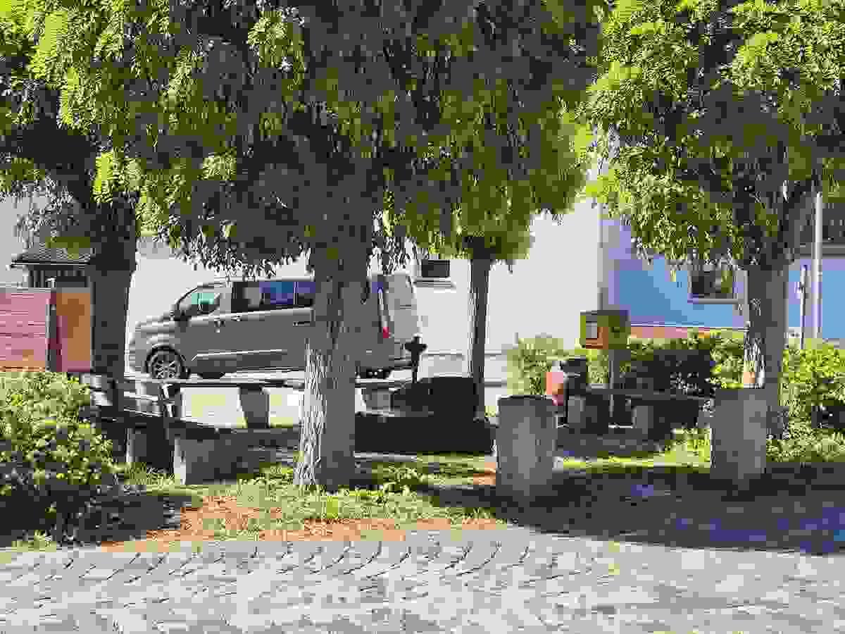 Section image
