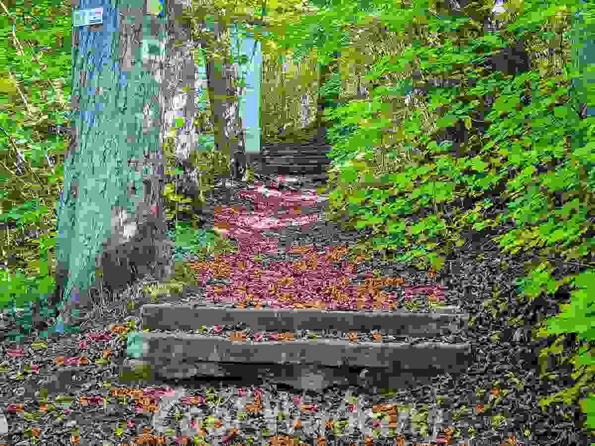 Section image
