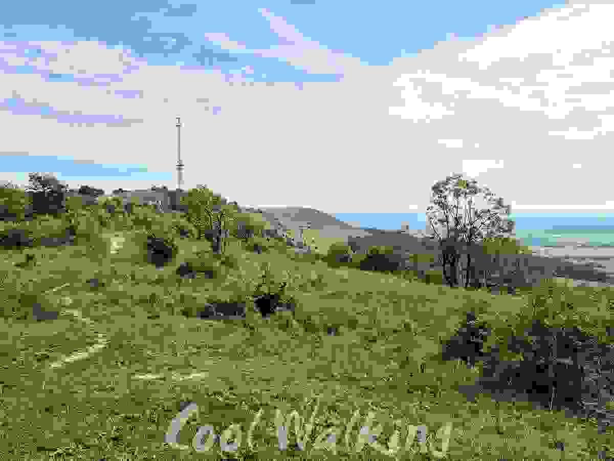Section image