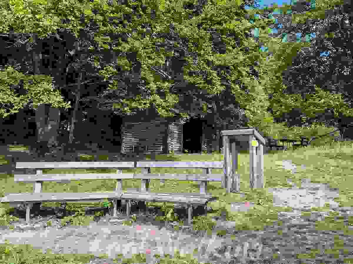 Section image