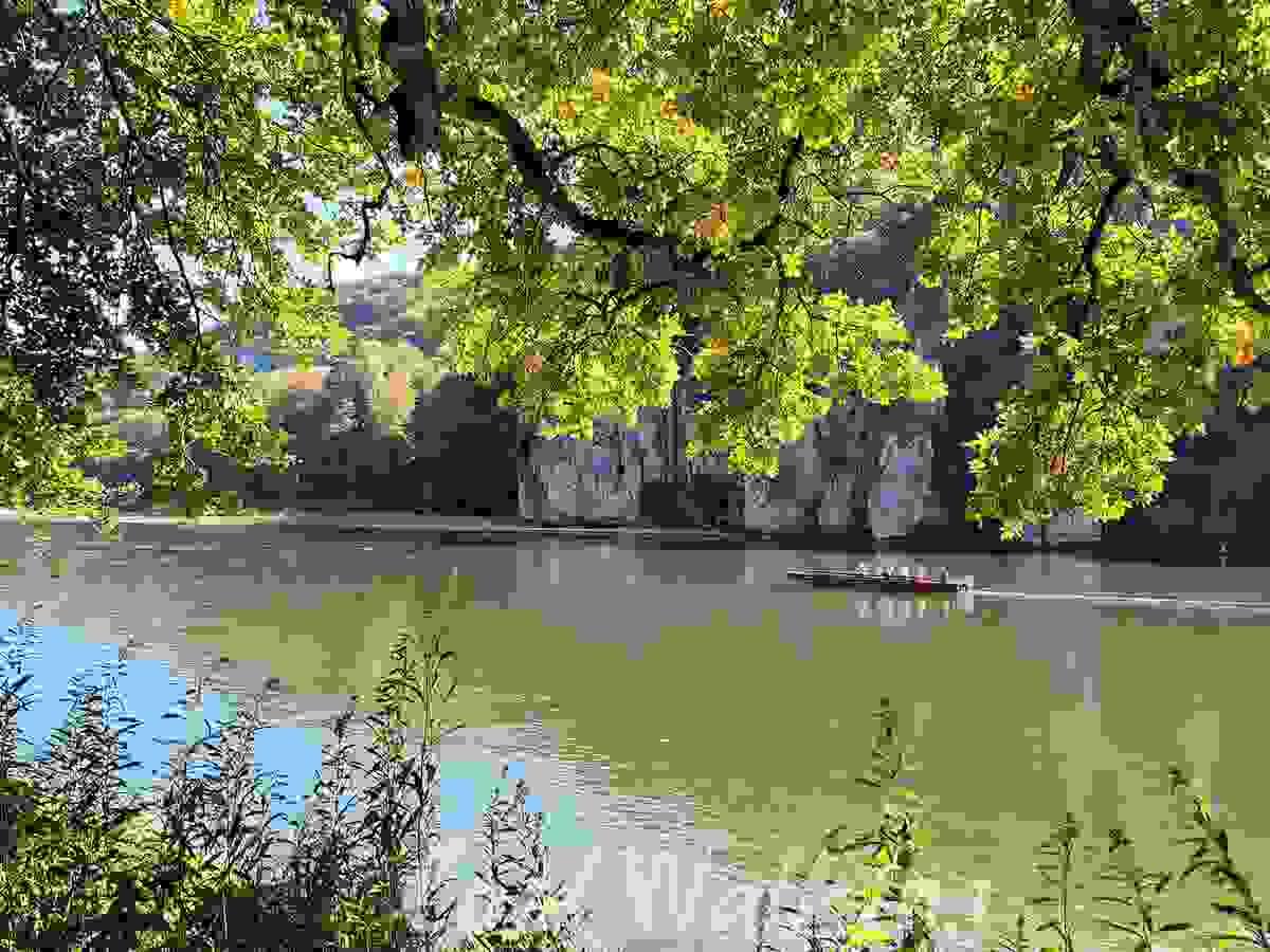 Section image