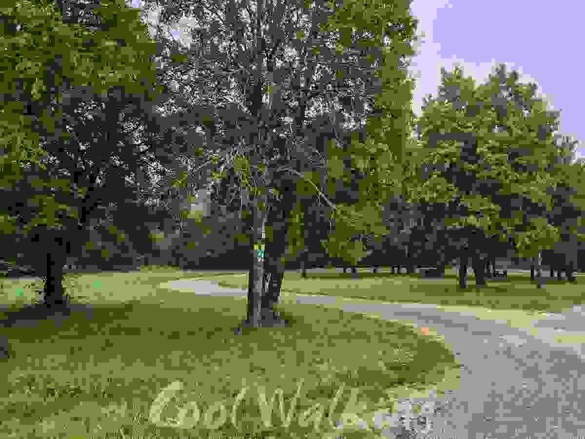 Section image