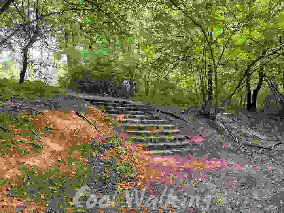 Section image